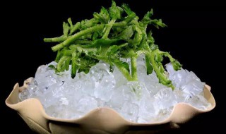 冰草功效与禁忌 冰草营养价值介绍
