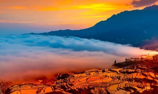 云南著名的旅游景点有哪些 云南著名的旅游景点有哪些地方