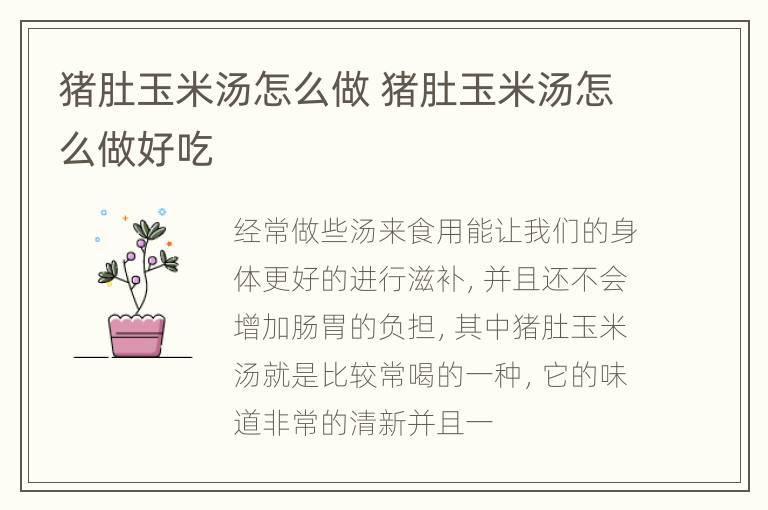 猪肚玉米汤怎么做 猪肚玉米汤怎么做好吃