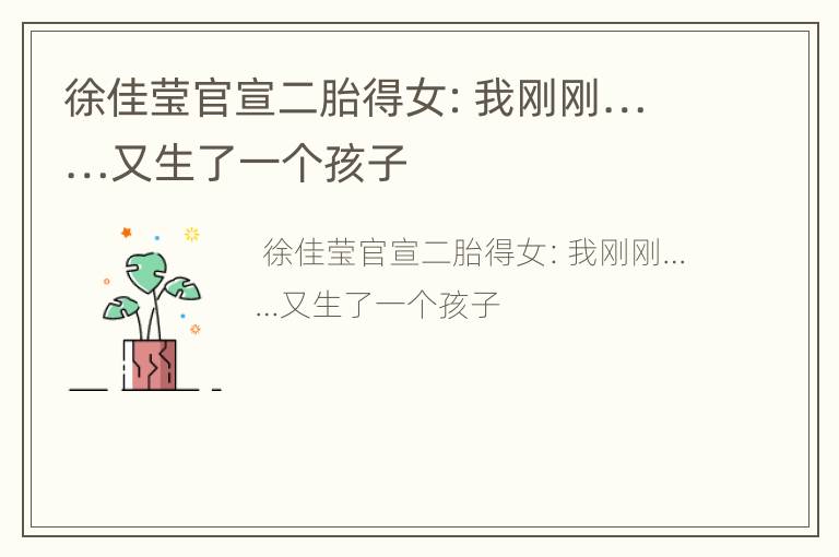 徐佳莹官宣二胎得女：我刚刚……又生了一个孩子