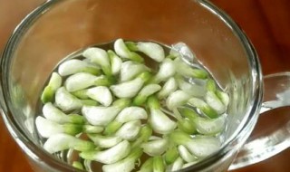 槐花怎么做能泡茶 怎么做槐花能泡茶