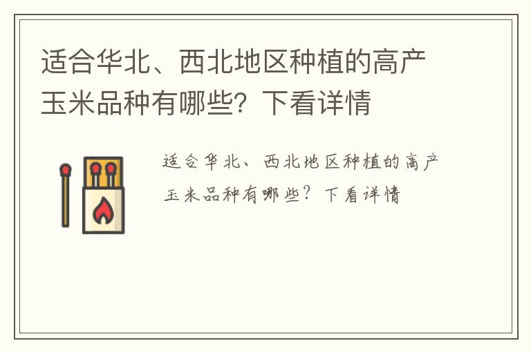 适合华北、西北地区种植的高产玉米品种有哪些？下看详情