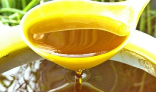 蜂王浆泡酒的功效与作用及禁忌 蜂王浆泡酒的功效与作用及禁忌是什么