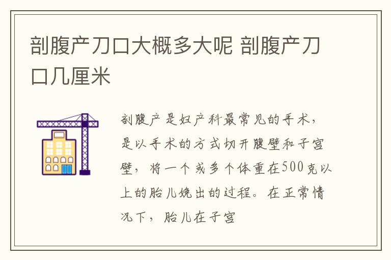 剖腹产刀口大概多大呢 剖腹产刀口几厘米