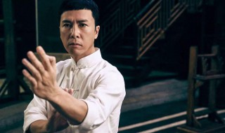 甄子丹个人资料 甄子丹个人资料简介