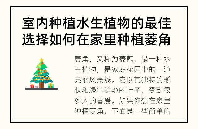 室内种植水生植物的最佳选择 如何在家里种植菱角?