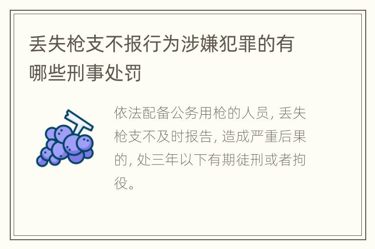 丢失枪支不报行为涉嫌犯罪的有哪些刑事处罚