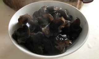 黑木耳露的做法步骤 黑木耳露需要哪些材料