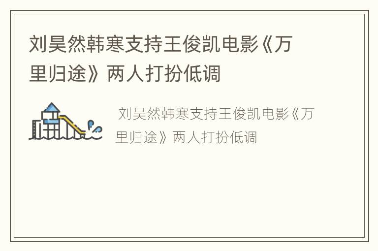 刘昊然韩寒支持王俊凯电影《万里归途》 两人打扮低调
