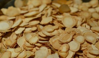 党参相克食物有哪些 党参相克食物说明