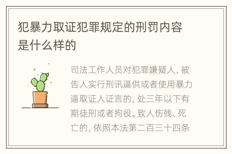 犯暴力取证犯罪规定的刑罚内容是什么样的