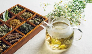 黄精黄芪泡水喝的功效 详解黄精黄芪泡水喝有哪些功效