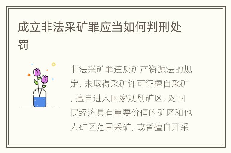 成立非法采矿罪应当如何判刑处罚
