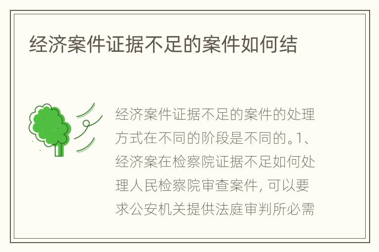 经济案件证据不足的案件如何结