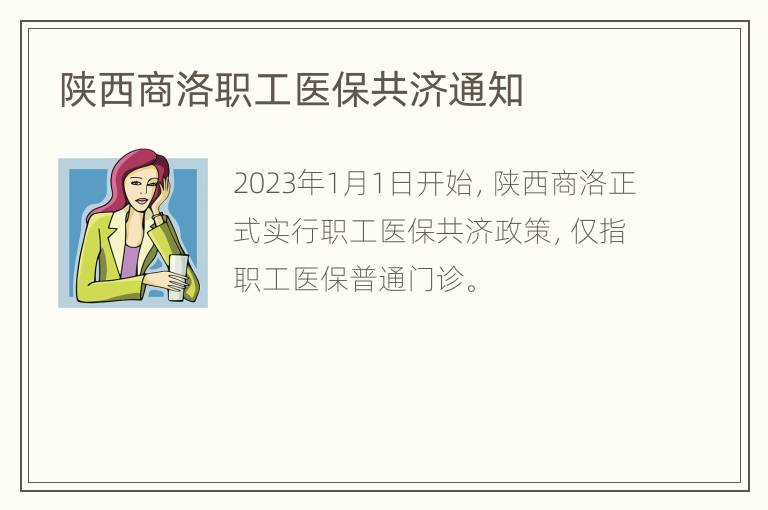 陕西商洛职工医保共济通知