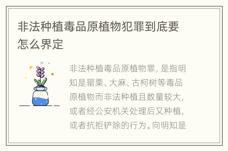 非法种植毒品原植物犯罪到底要怎么界定