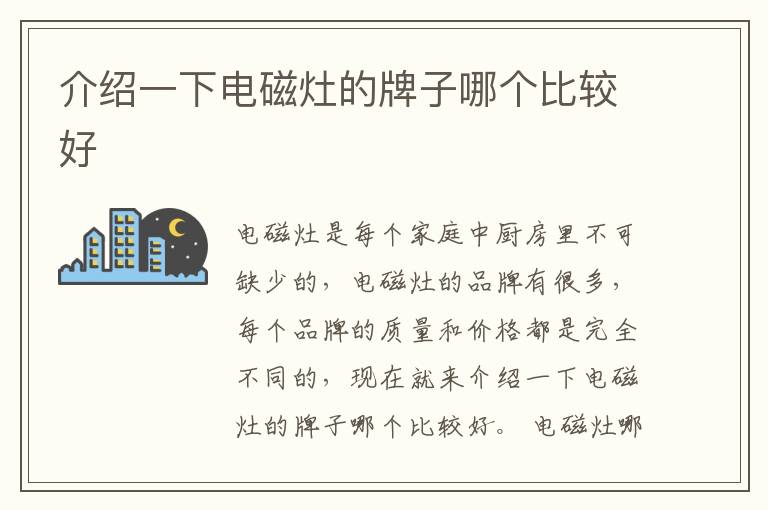 介绍一下电磁灶的牌子哪个比较好