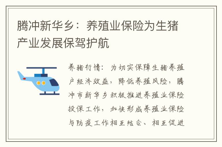 腾冲新华乡：养殖业保险为生猪产业发展保驾护航