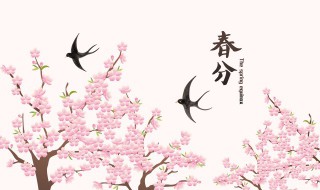 春分的民间风俗有哪些 详解春分有哪些民间习俗