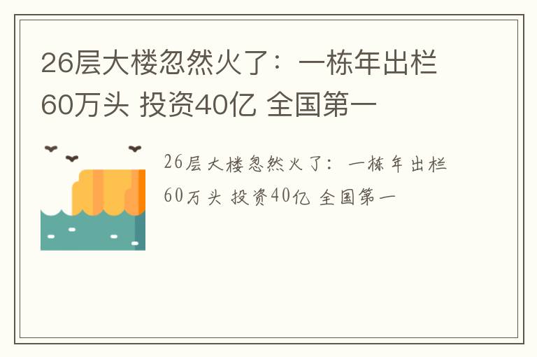 26层大楼忽然火了：一栋年出栏60万头 投资40亿 全国第一