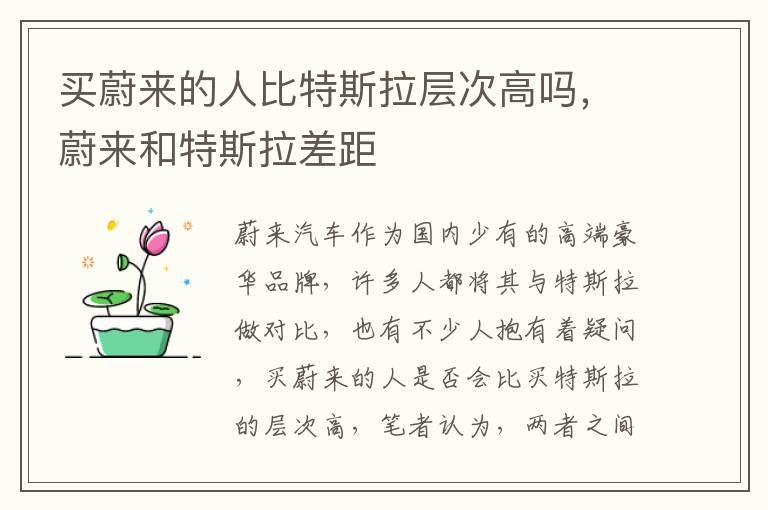 买蔚来的人比特斯拉层次高吗，蔚来和特斯拉差距