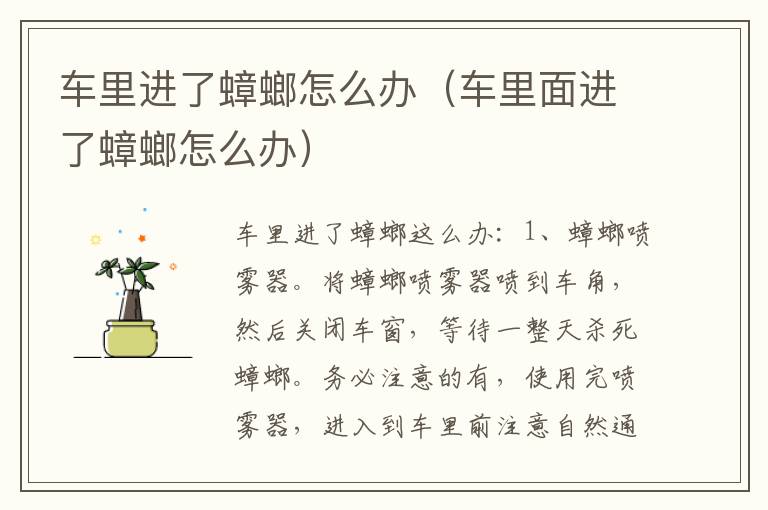 车里进了蟑螂怎么办（车里面进了蟑螂怎么办）