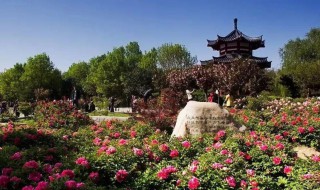 陕西五一旅游人少景美的地方 陕西好玩人少的景点推荐