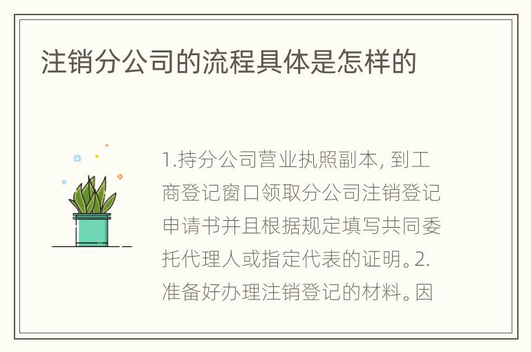 注销分公司的流程具体是怎样的