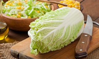 家种大白菜的方法和步骤 种白菜的方法和步骤