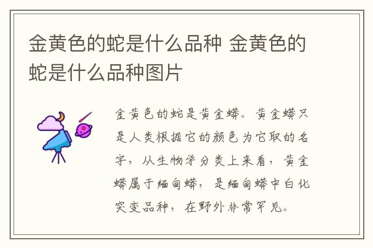 金黄色的蛇是什么品种 金黄色的蛇是什么品种图片