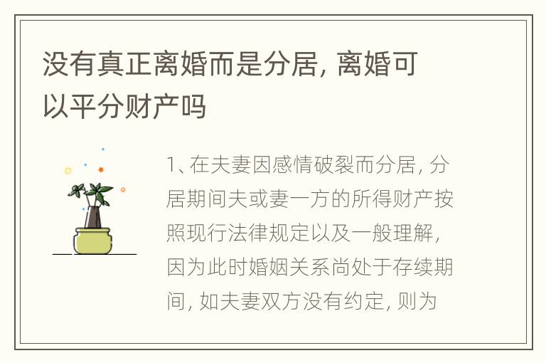 没有真正离婚而是分居，离婚可以平分财产吗