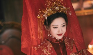 司藤结局什么时候播放 司藤的电视剧简介