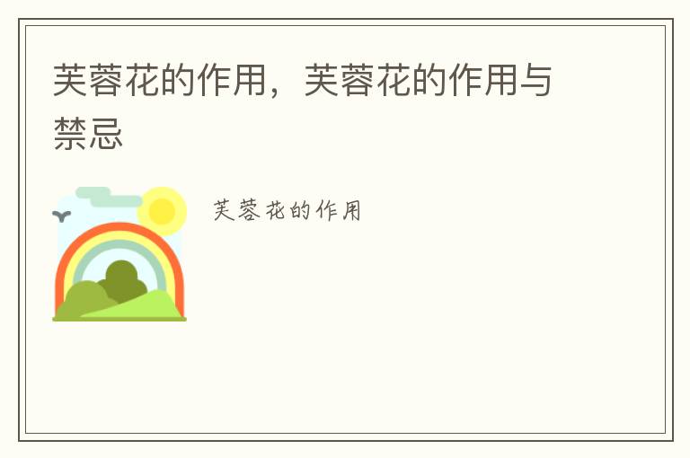 芙蓉花的作用，芙蓉花的作用与禁忌