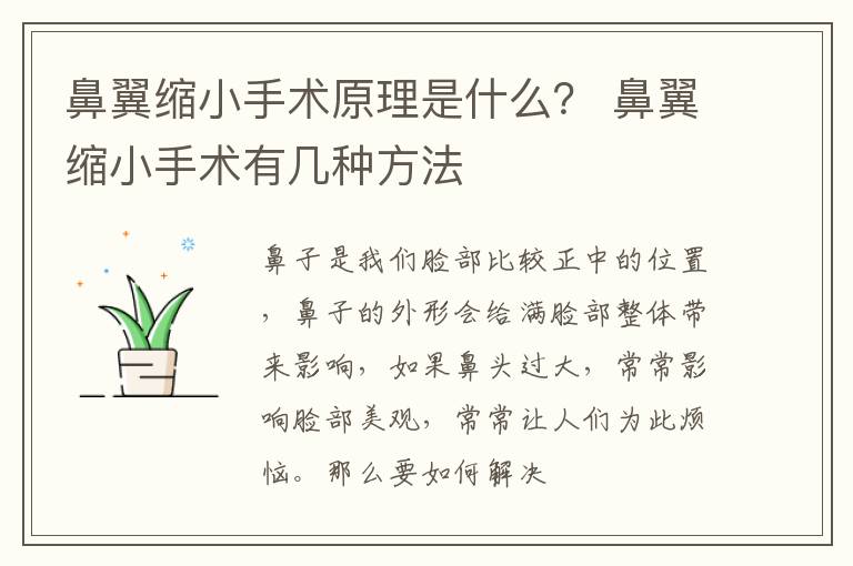 鼻翼缩小手术原理是什么？ 鼻翼缩小手术有几种方法