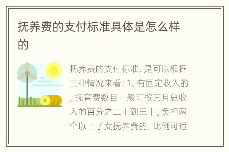 抚养费的支付标准具体是怎么样的
