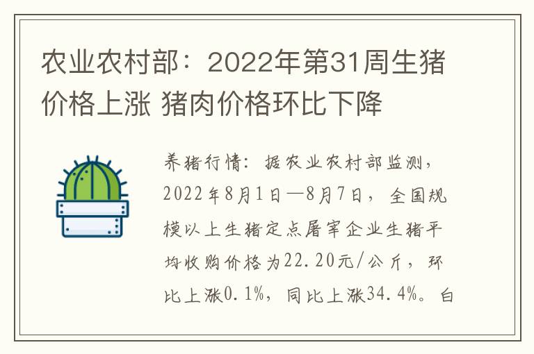 农业农村部：2022年第31周生猪价格上涨 猪肉价格环比下降