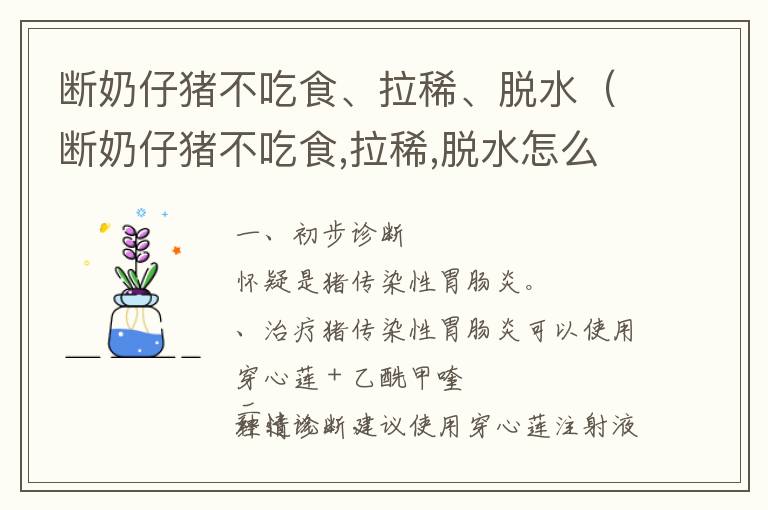 断奶仔猪不吃食、拉稀、脱水（断奶仔猪不吃食,拉稀,脱水怎么回事）
