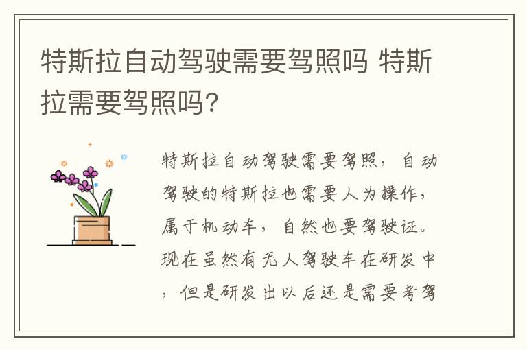 特斯拉自动驾驶需要驾照吗 特斯拉需要驾照吗?