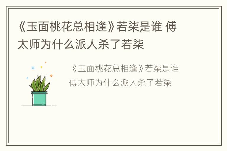 《玉面桃花总相逢》若柒是谁 傅太师为什么派人杀了若柒