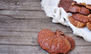 四类人不能吃灵芝孢子粉 哪四类人不能吃灵芝孢子粉