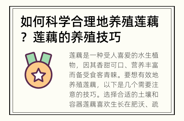 如何科学合理地养殖莲藕？ 莲藕的养殖技巧