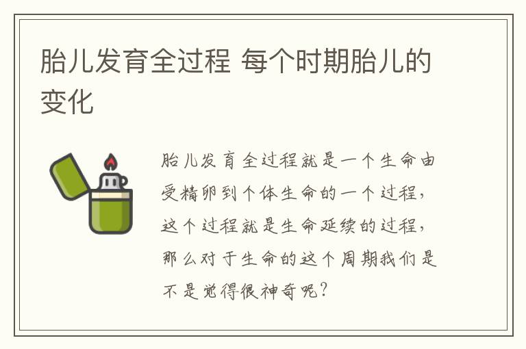 胎儿发育全过程 每个时期胎儿的变化