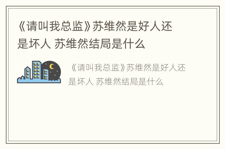 《请叫我总监》苏维然是好人还是坏人 苏维然结局是什么