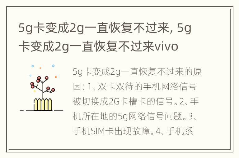 5g卡变成2g一直恢复不过来，5g卡变成2g一直恢复不过来vivo