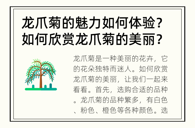 龙爪菊的魅力如何体验？ 如何欣赏龙爪菊的美丽？