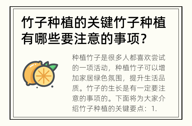 竹子种植的关键 竹子种植有哪些要注意的事项？