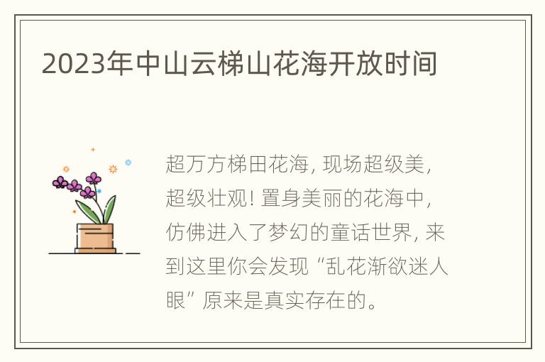 2023年中山云梯山花海开放时间