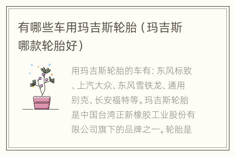 有哪些车用玛吉斯轮胎（玛吉斯哪款轮胎好）