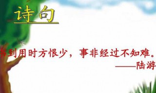对联书到用时方恨少下一句是什么 书到用时方恨少后面一句是什么