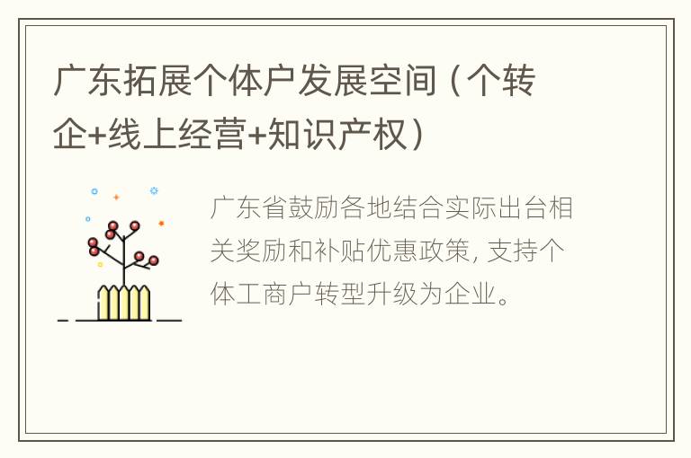广东拓展个体户发展空间（个转企+线上经营+知识产权）